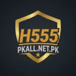 H555 Game