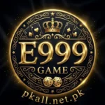 E999 Game